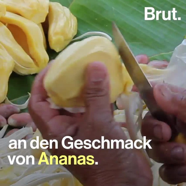 Brut: Jackfruit