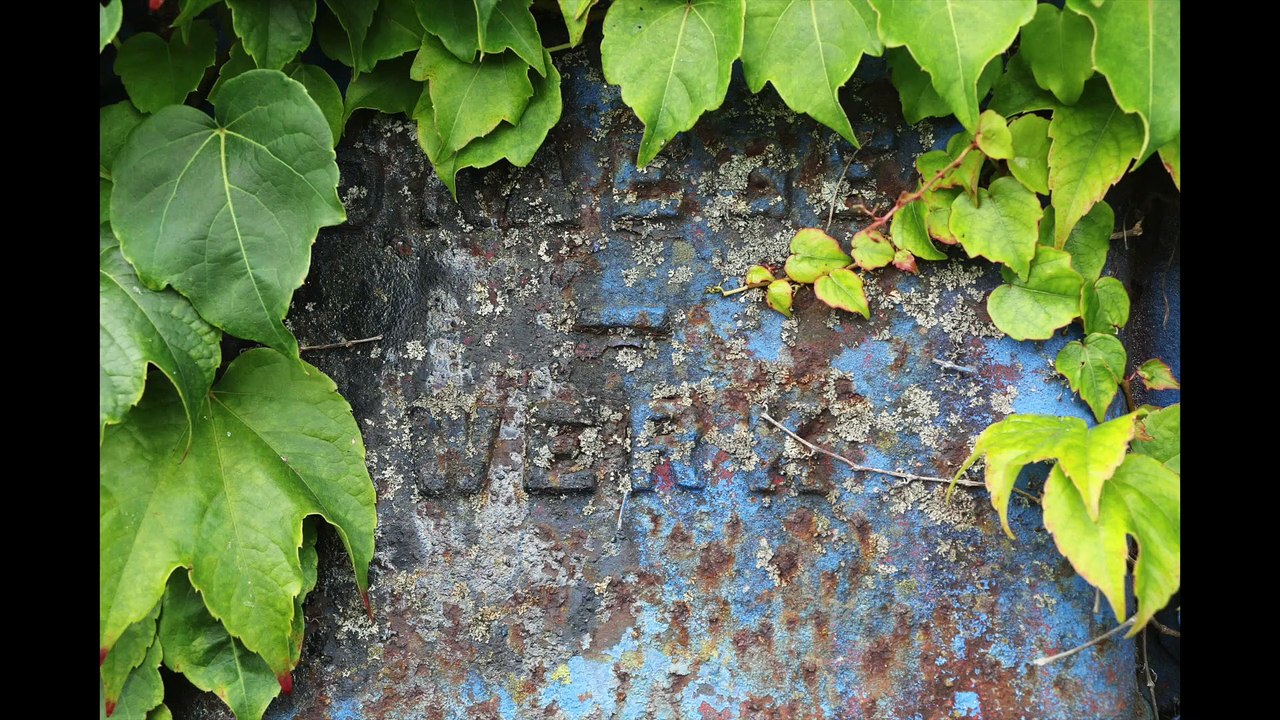 Ausbesserungswerk Wedau Germany