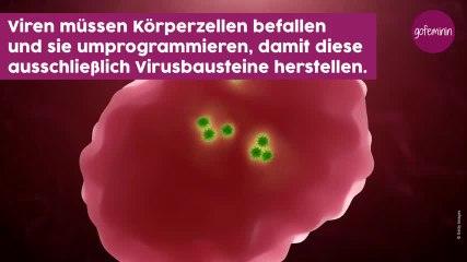 Viren und Bakterien: Die wichtigsten Unterschiede