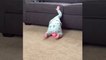 TRY NOT TO LAUGH _ when Babies play sports _ Funny Fails Video ( 1080 X 1920 )
