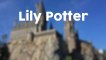 Albus, Sirius & Co.: Das bedeuten die Namen aus Harry Potter!