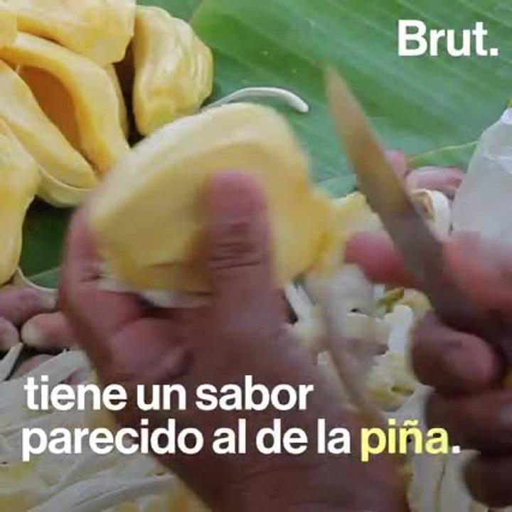 Jack fruit