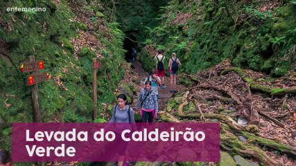 Guía de viaje: qué hacer y ver en Madeira