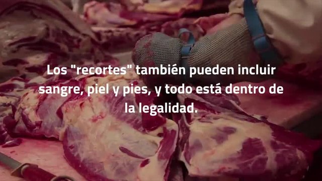 ¿Sabes de qué están hechos los perritos calientes