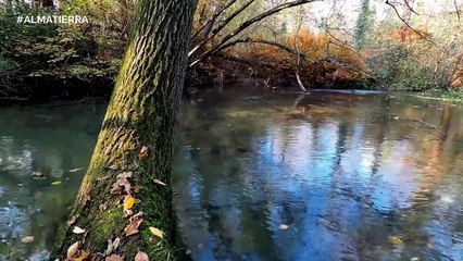 Silver Raised Earth · DEEP ROCK #ALMATIERRA