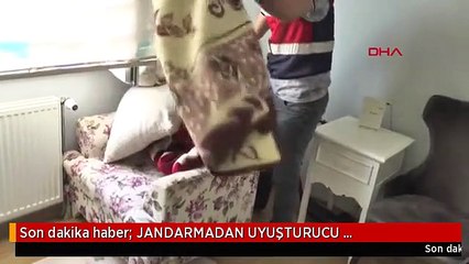 Son dakika haber: JANDARMADAN UYUŞTURUCU OPERASYONU