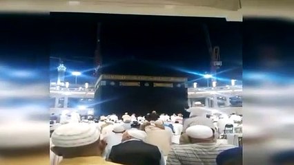 Kabe'yi tavaf eden kuşlar