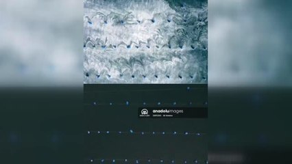 Cumhurbaşkanlığı İletişim Başkanı Altun'dan, müsilaj temizliği açıklaması