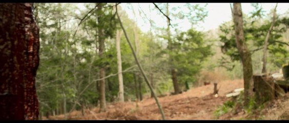 Animosity Movie (2021)