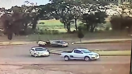 Porcos caem de reboque e ficam sobre a pista de rolamento da BR-277 em São Miguel do Iguaçu; veja o vídeo
