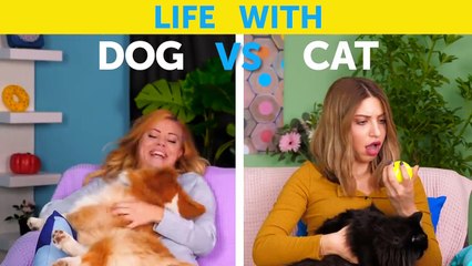 Life With Dog Vs Life With Cat. Corgi Life || Relatable Facts By 5-Minute Fun