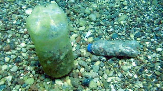 Konyaaltı’nda denizin dibi çöplüğe döndü