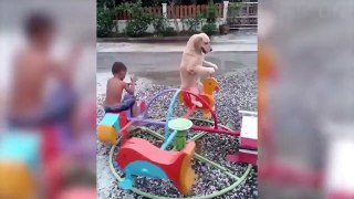  Funniest  Dogs And  Cats - Awesome Funny Pet Animals' Life Videos 