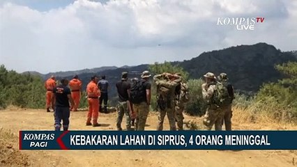 Terjadi Kebakaran Lahan di Arakapas Siprus, 4 Orang Ditemukan Tewas