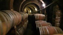 DO ARLANZA, el vino al rescate de la España vacía