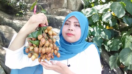 Makan buah rambai asam manis seger, bahasa jawa kecacel