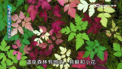 Travels to the Edge (Patagonia Mount Fitz Roy) + 巴塔哥尼亚