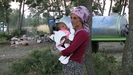 YOZGAT - Sağlık ekipleri, ormanlık alanda mangal kömürü üreten işçilere Kovid-19 aşısı yaptı