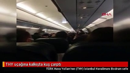 THY UÇAĞINA KALKIŞTA KUŞ ÇARPTI