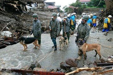 Japonya'daki sel ve heyelan felaketinde ölü sayısı 4'e yükseldi