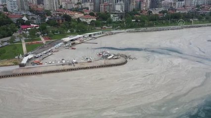 Marmara Denizi'nin İstanbul kıyılarında müsilaj, yok denilecek kadar azaldı