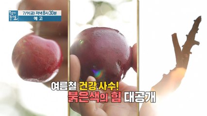 여름 건강 지키는 붉은색의 힘