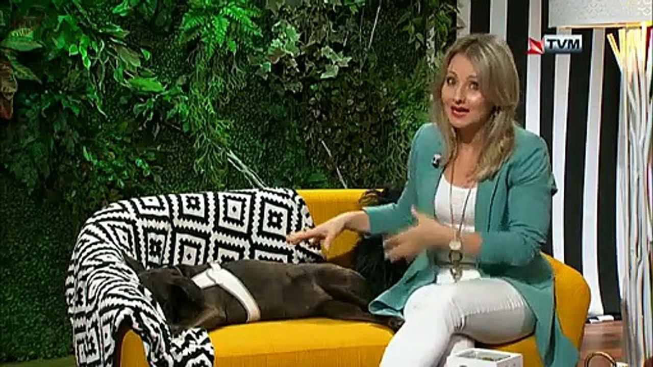 Animal Diaries - Season 9 Episode 35