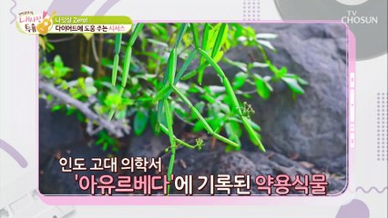 성별 불문 중년의 적 나잇살 줄여주는 ★ 시서스 ★ TV CHOSUN 210706 방송