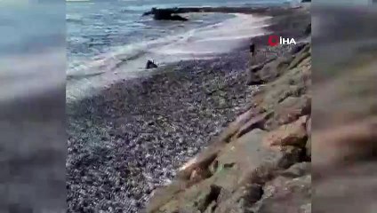 Dev dalgalar resmen yuttu! Herkesin gözü önünde böyle boğuldu