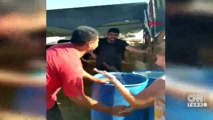 11 yaşındaki Nehir'in kurban pazarında sıkı pazarlığı