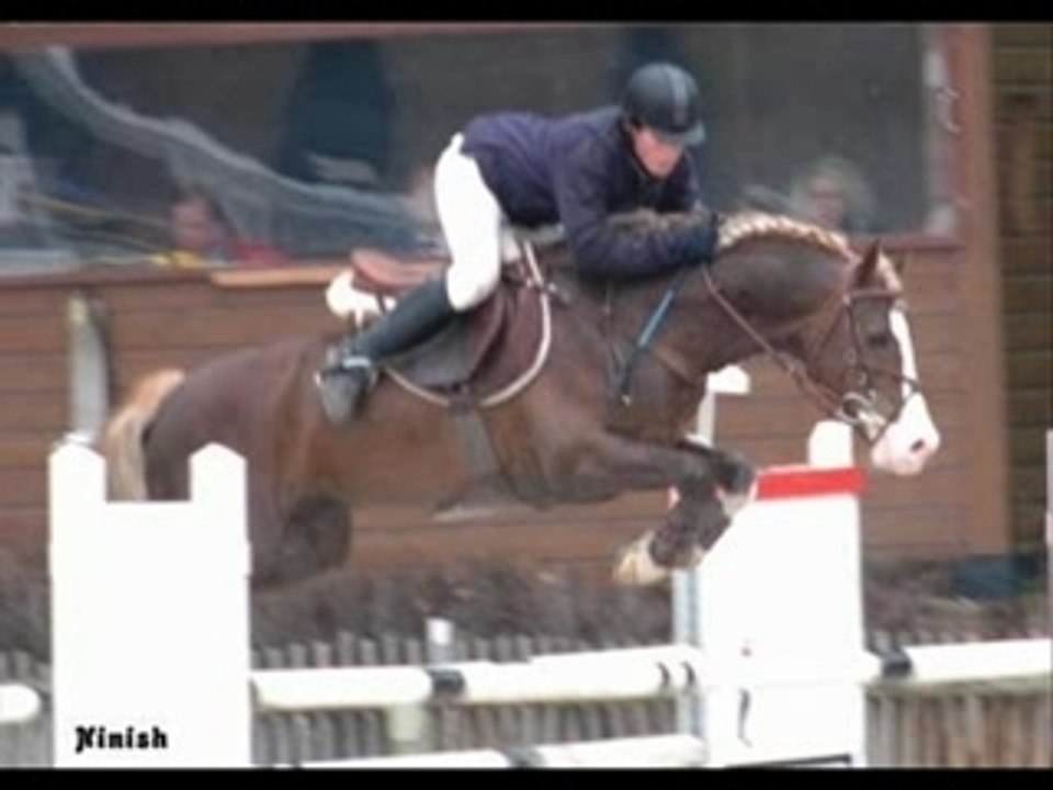 Havane Welsh