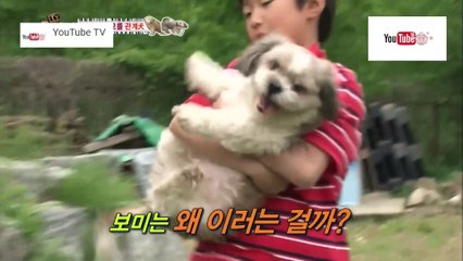 สัตว์อลวน คนอลเวง ตอน สุนัข2ตัวรักกัน