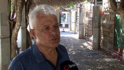 Dünyaca ünlü sahilde deniz kestaneleri koloni olarak görüntülendi