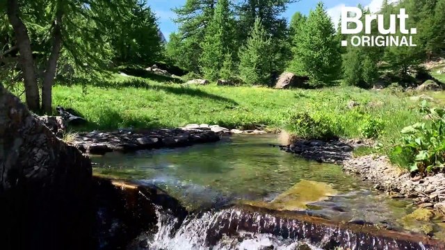 Les randonnées zéro carbone , pour voyager sans impact sur la planète