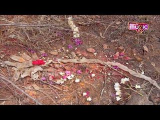 7-Headed Snake's Skin Found In Ramanagara; People Perform Pooja