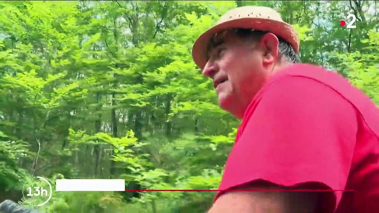 Découverte : le parc naturel régional du Perche, un écrin de nature préservé