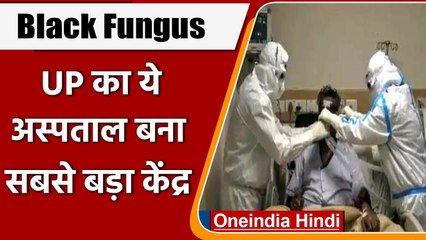 Lucknow: KGMU में बढ़ते जा रहे हैं Black Fungus के मामले, मरीजों का आंकड़ा 500 पार । वनइंडिया हिंदी