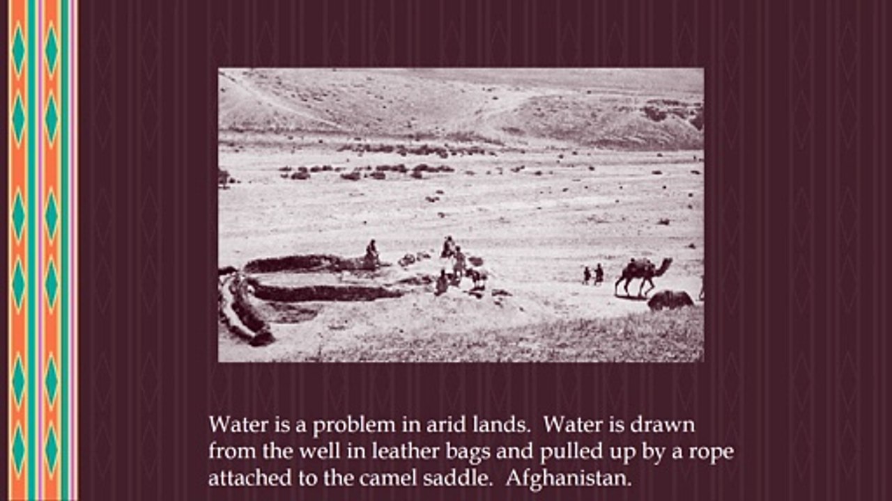 Cultural Ecology: Pastoral Societies