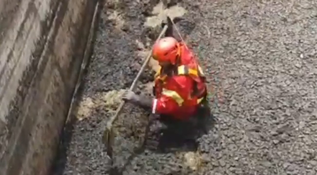 Arcisate (VA) - Gattino cade in una vasca di liquami: salvato dai Vigili del Fuoco (06.07.21)