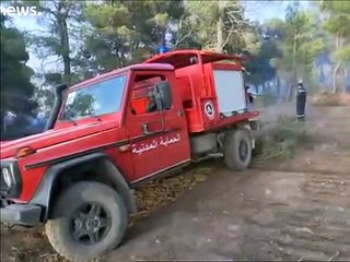 فيديو | استمرار الجهود لإخماء الحرائق في جبال الأوراس الجزائرية