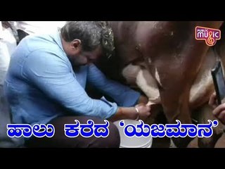 ಮಂಡ್ಯದಲ್ಲಿ ಪ್ರಚಾರದ ವೇಳೆ ಹಸುವಿನ ಹಾಲು ಕರೆದ ದರ್ಶನ್..!