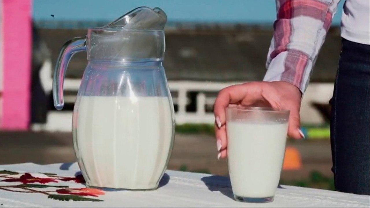 bd-tipos-de-leche-060721
