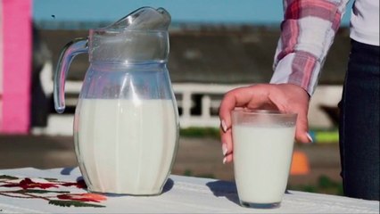 bd-tipos-de-leche-060721