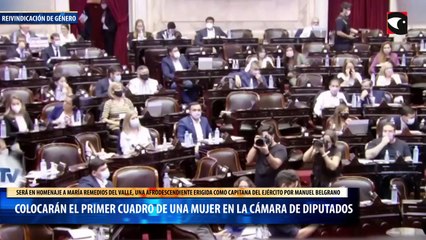 Colocarán el primer cuadro de una mujer en la cámara de diputados
