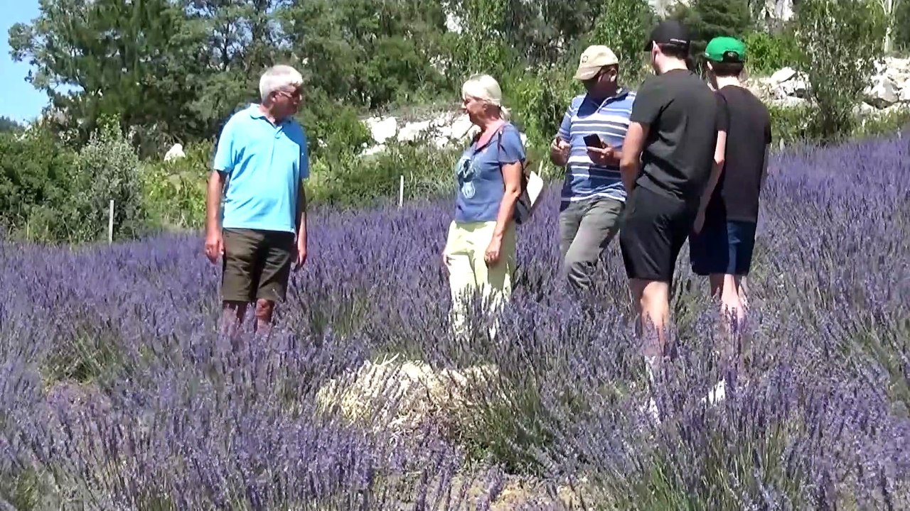 KONYA - Dokuz aylık maaşıyla köyüne lavanta bahçesi kurdu