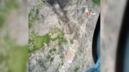 - Rusya'da irtibatın kesildiği uçağın düştüğü bölge görüntülendi- Arama-kurtarma çalışmalarına ara verildi