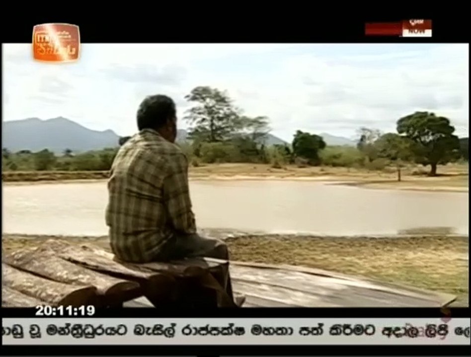 Appachchi (53) 06-07-2021