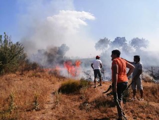 Milas'taki yangın kontrol altına alındı