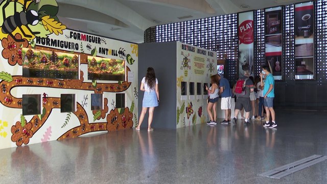 La Ciutat de les Arts i les Ciències afronta el verano con actividades seguras