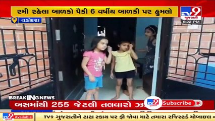 Residents of Nizampura fearful of Stray Dog Menace, fume at VMC over inaction. Vadodara _ TV9News